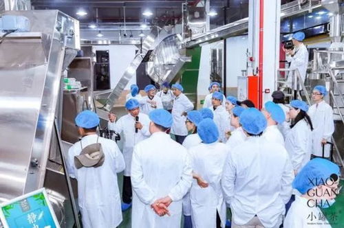 长江商报 投资15亿小罐茶黄山工厂明年启用，以高标准高品质引领中国茶市，抢占房地产投资新风口